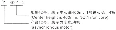 西安泰富西玛Y系列(H355-1000)高压YE2-160M1-2三相异步电机型号说明