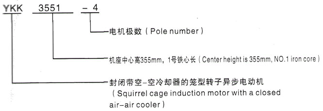 YKK系列(H355-1000)高压YE2-160M1-2三相异步电机西安泰富西玛电机型号说明