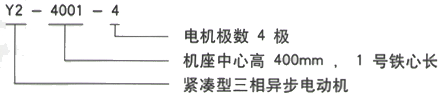 YR系列(H355-1000)高压YE2-160M1-2三相异步电机西安西玛电机型号说明